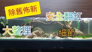 有蝦如何翻缸 開缸 造景一次來