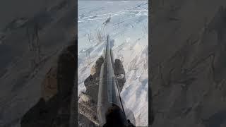 Выпнул зайца из лежки и промазал в упор). Лисы нашли первые.  (архив 2020год.) #охота #охотаназайца