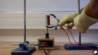 Magnetic Noise Experiment with a Tuning Fork: Constant Frequency