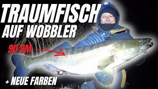 Wir fangen Traumzander auf Wobbler im Winter 4K