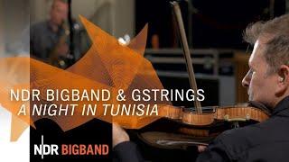 NDR Bigband & gstrings: A Night in Tunisia | NDR