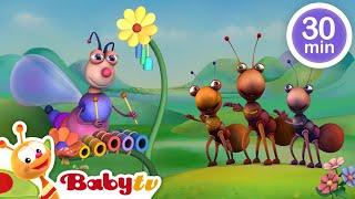 Musical Adventure  ! African, Jazz, Classical and More!  | Music for Kids | Kids Songs @BabyTV