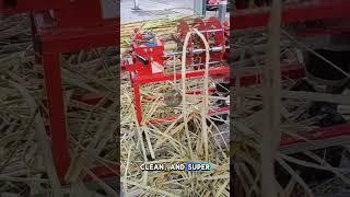 Amazing Sugarcane Peeling Machine – Fast & Efficient!