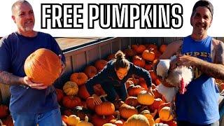 Free Pumpkin Haul With @TheCrockers!  Fall Fun For Our Farm Animals!