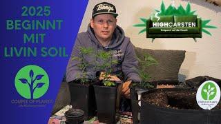 Erster Grow 2025 startet mit dem Living Soil von Couple of Plants #420 #bubatz