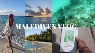 MALEDIVEN Vlog : Villatour, tauchen gehen, gelesene Bücher, Dankbarkeit ... // Niia