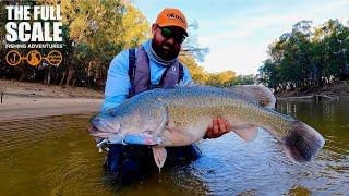 These Fish SMASHED a Topwater | The Full Scale