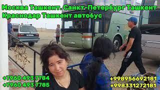 Sankt-Peterburg Tashkent avtobus | Санкт-Петербург Ташкент автобус