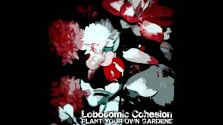 Lobotomic Cohesion - Keep Your Distance