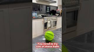 Want a dog toy that is entraining and good at cleaning their #dogtoys#dogenrichmenttoys#dog#doggy