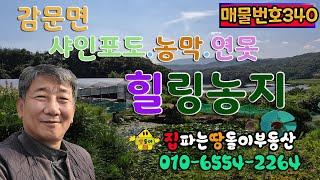 김천시 감문면 샤인포도와 농막.연못 그리고 멋진조망 농지