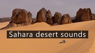 True sound of the Sahara desert - Soft wind in the sand dunes