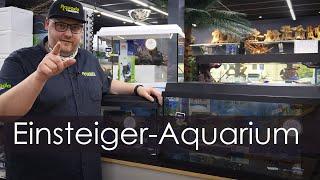 Günstiges Aquarium für Einsteiger - Tipps und Tricks für das Juwel Primo | Aquado-Zoo Dortmund