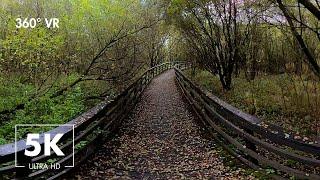 Relaxing Virtual Walk In Glastonbury UK with Nature And Bird Sounds - 360° VR 5K Ultra HD Relaxation