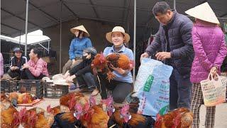 Selling Organic Chickens in Village Market. Daily Works of Women Raising Chickens in Forest