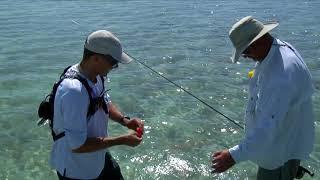 Bonefish Cape Eleuthera