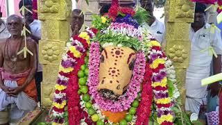 Chengalpattu Temple festival |Anmiga Dharisanam