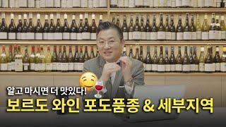 [Eng.sub] 보르도 와인, 알고 마시면 더 맛있다! 초보자를 위한 쉽게 배우는 보르도