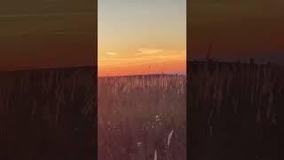 #жизнь#мудрость#СчастьеВнутриНас#Счастье-Твоё Состояние️