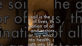 Soil: The Source of Life | Wendell Berry