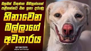 "හිනාවෙන බල්ලාගේ අවතාරය" චිත්‍රපටයේ කතාව සිංහලෙන් - Movie Review Sinhala | Home Cinema Sinhala