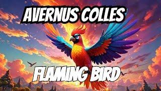 Avernus Colles - Flaming Bird / Music Video / Instrumental