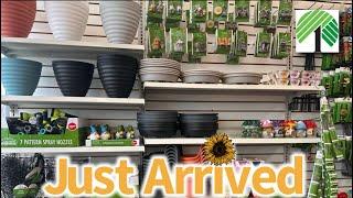 DOLLAR TREENEW YEAR, NEW FINDS FOR ONE TWENTY FIVE…HURRY‼️ #new #dollartree #shopping