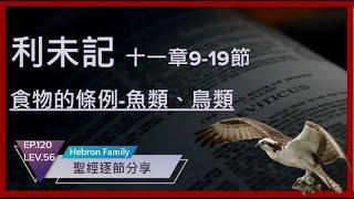 『利未記 第十一章9-19節 食物的條例-魚類、鳥類_潔淨的指示』聖經逐節分享第120集 LEV.56 20230724