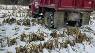 Finishing up harvesting corn