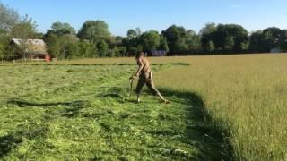 Mowing Hay with an Austrian Scythe