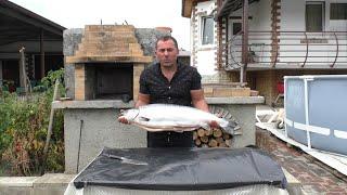 SALMON on the GRILL. SKEWERS of FISH