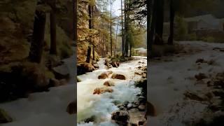 Must visited place in #Harshilvalley #shorts #youtubeshorts #ytshorts #trending #uttarkashi #river