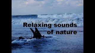 Relaxation of Nature Sounds : Sounds of Waves and Birds Makes Comfortable and Relaxed