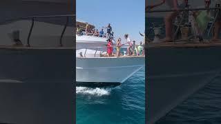 شوفوا اللي هيحصل في الآخر   #reels