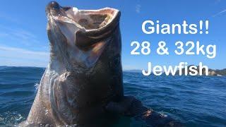 Giants!! 28 and 32kg Jewfish Spearfishing