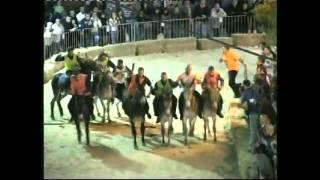 OLLOLAI - PALIO DEGLI ASINELLI 2007