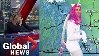 Halloween: News anchors in tears as meteorologist shows up in mystical unicorn costume