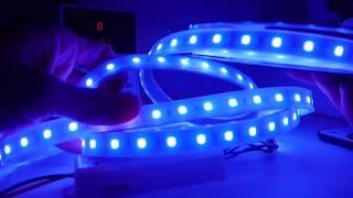 5 color in 1 chip rgb cct 12v 24V 5050smd rgbww rgbw led strip waterproof IP67