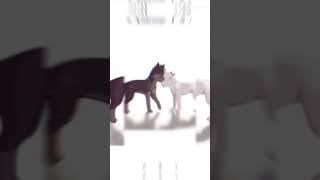 коты-воители белогривка остралап  #котывоители