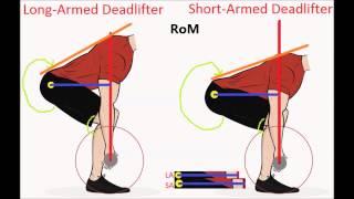 Powerlifting Leverages