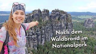 Spektakuläre Gratwanderung in der Sächsischen Schweiz: Über die Schrammsteine