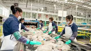 Tiempo de degradación y daño que causa una bolsa plástica 