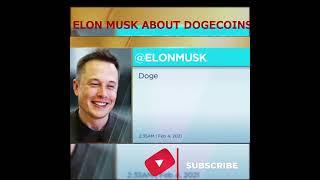 ELON MUSK TWEET ABOUT DOGECOIN #shorts