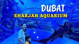 Sharjah fish aquarium Dubai | Sharjah Aquarium | Sharjah underwater Tunnel | Dubai Tourist Places