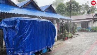 Early Morning Rainfall in Village-Peaceful Rain Video and Sound