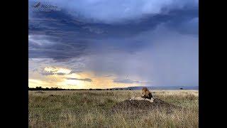 Masai Mara Safari in October