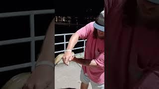 Massive Eel! #hugefish #huge #eelfishing #eels #eel #eelcatching #fishing #fishingvideo #throwup