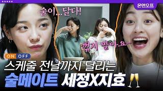 [#인기급상승] (세정X지효 풀버전) 100% 찐친 텐션 김세정 X 트와이스 지효의 본격적인 술방ㅋㅋㅋ 주량도 딱 맞는 천생연분  | #온앤오프 #디글