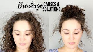 Breakage 101 - Causes & Solutions for Breakage in Curls