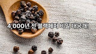 안녕하세요 오늘은 블랙페퍼 Black Pepper 오일을 소개해드릴게요. #블랙페퍼 #blackpepper #아로마에센셜오일 #에센셜오일 #아로마테라피 #아로마오일 #shorts